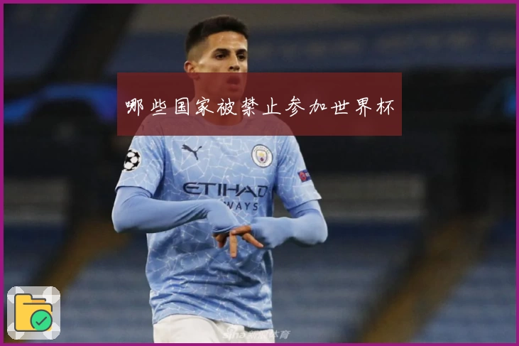 哪些国家被禁止参加世界杯