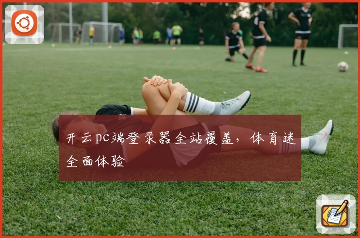 开云pc端登录器全站覆盖，体育迷全面体验