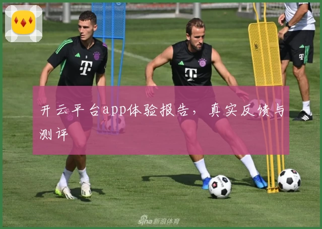 开云平台app体验报告，真实反馈与测评
