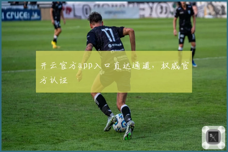开云官方app入口直达通道，权威官方认证