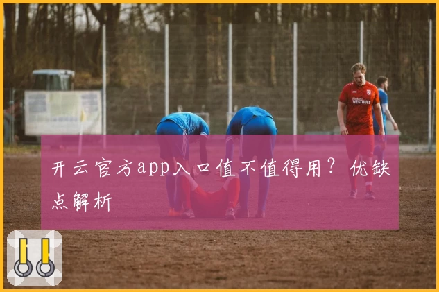 开云官方app入口值不值得用?优缺点解析