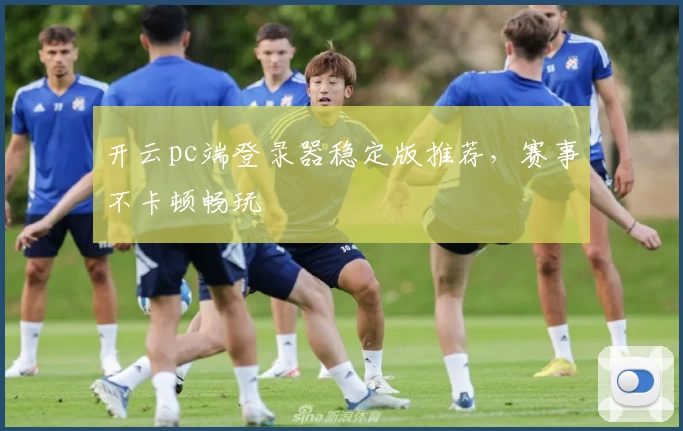 开云pc端登录器稳定版推荐，赛事不卡顿畅玩