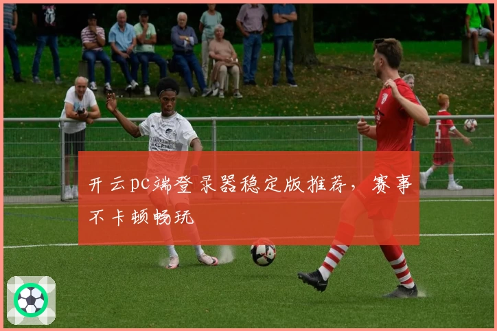开云pc端登录器稳定版推荐，赛事不卡顿畅玩
