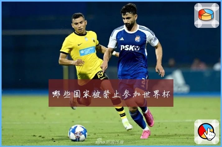 哪些国家被禁止参加世界杯