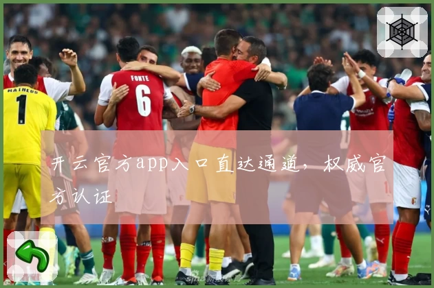 开云官方app入口直达通道,权威官方认证